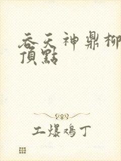 吞天神鼎柳无邪顶点