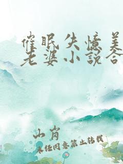 催眠失忆美母变老婆小说合法吗