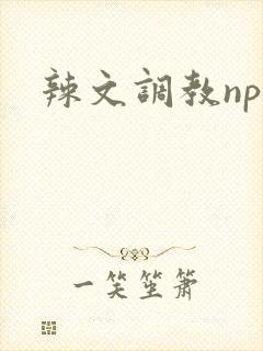 辣文调教np