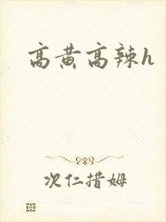 高黄高辣h