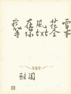 我在风花雪月里等你txt全本