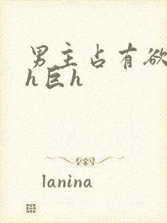 男主占有欲强高h巨h