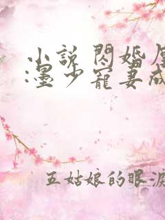 小说 闪婚厚爱:墨少宠妻成瘾