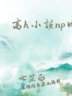 高h小说np肉
