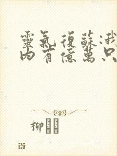 灵气复苏:我体内有亿万只鬼全集