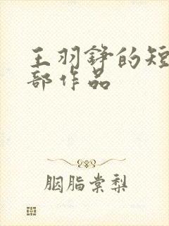 王羽铮的短剧全部作品