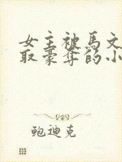 女主被马文才强取豪夺的小说