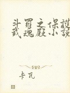 斗罗之保护我方武魂殿小说