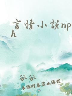 言情小说np高h