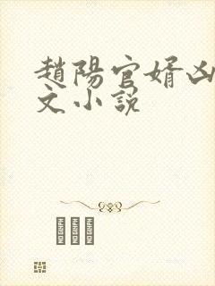 赵阳官婿凶猛全文小说