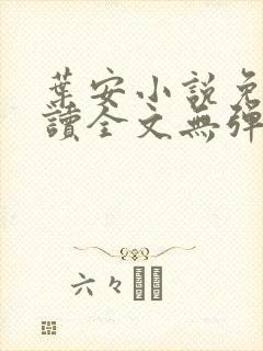 叶安小说免费阅读全文无弹窗