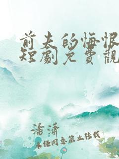 前夫的悔恨泪水短剧免费观看