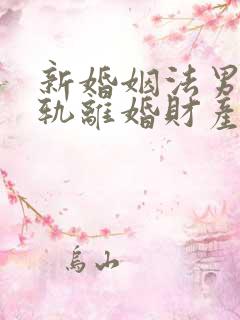 新婚姻法男方出轨离婚财产分割