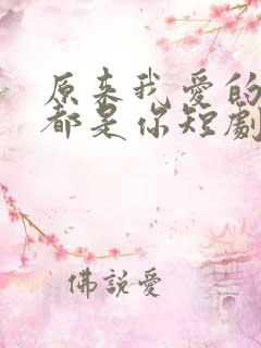 原来我爱的从来都是你短剧免费观看