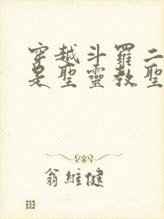 穿越斗罗二之我是圣灵教圣子