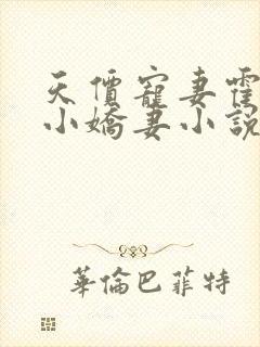 天价宠妻霍总的小娇妻小说免费读