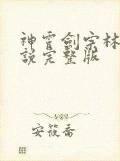 神霄剑宗林枫小说完整版