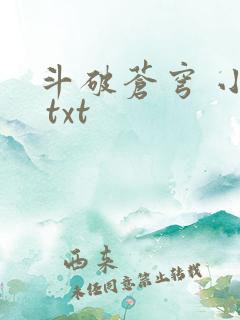 斗破苍穹 小说 txt