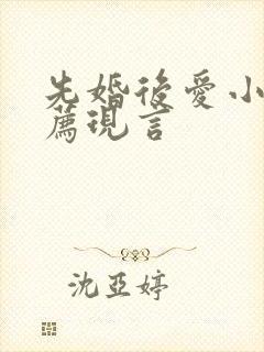 先婚后爱小说推荐现言