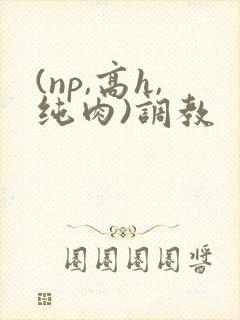 (np,高h,纯肉)调教