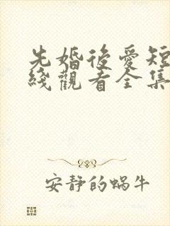 先婚后爱短剧在线观看全集免费