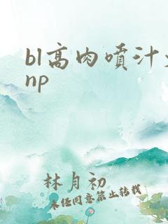 bl高肉喷汁文np