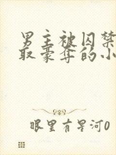 男主被囚禁被强取豪夺的小说