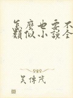 怎么也要不够她类似小说全文免费