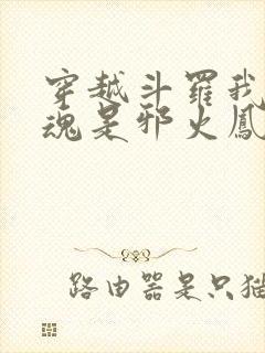 穿越斗罗我的武魂是邪火凤凰