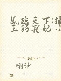 凤临天下:摄政王的宠妃 小说