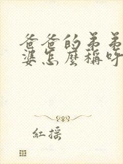 爸爸的弟弟的老婆怎么称呼