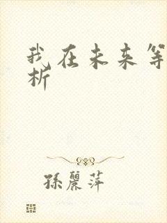 我在未来等你解析