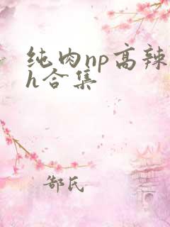 纯肉np高辣文h合集