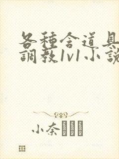 各种含道具高h调教1v1小说