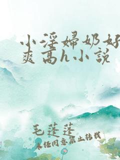 小淫妇奶好大好爽高h小说