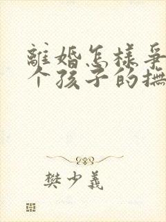 离婚怎样争夺两个孩子的抚养权