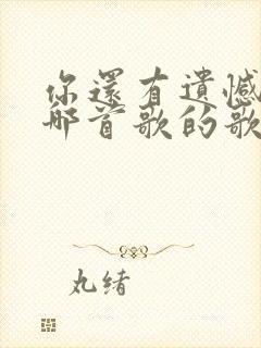 你还有遗憾吗是哪首歌的歌词