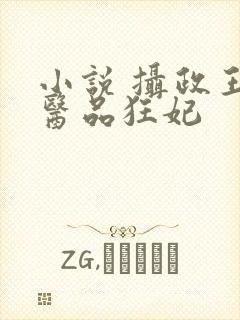 小说 摄政王的医品狂妃