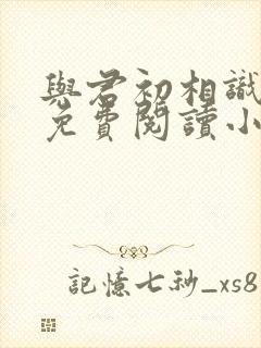 与君初相识全文免费阅读小说