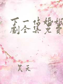 下一站婚姻电视剧全集免费观看完整版