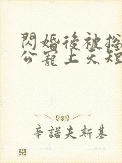 闪婚后被总裁老公宠上天短剧全集4/4