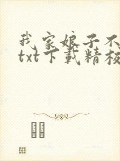 我家娘子不对劲txt下载精校版