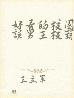 好看的校园文小说男主校霸