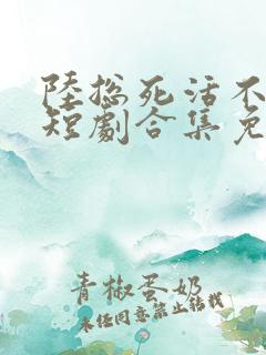 陆总死活不离婚短剧合集免费观看