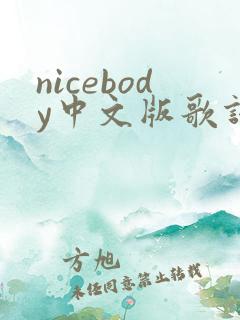 nicebody中文版歌词