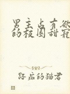 男主占有欲很强的校园甜宠文小说