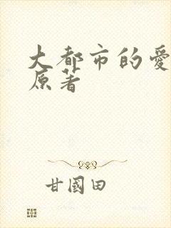 大都市的爱情法原著