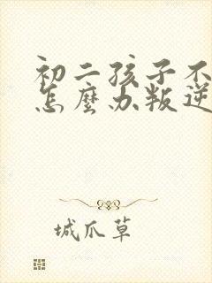 初二孩子不听话怎么办叛逆期孩子怎么管教