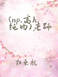 (np,高h,纯肉)老师