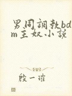 男同调教bdsm主奴小说